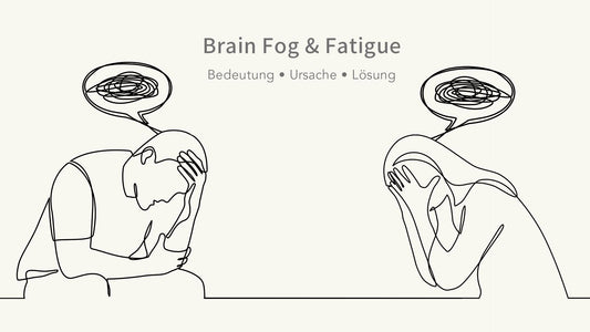 Brain Fog und Fatigue: So befreist du dein Gehirn von Nebel und Erschöpfung
