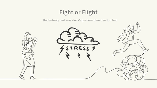 Fight-or-Flight-Modus, seine Bedeutung und der Zusammenhang mit dem Vagus