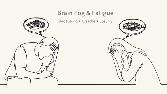 Brain Fog und Fatigue: So befreist du dein Gehirn von Nebel und Erschöpfung