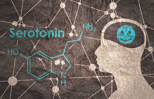 Serotonin-Wohlfühlhormon-Vagus-Vital
